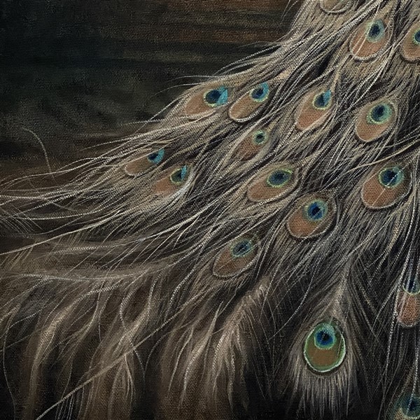 Peacock Blue Detail 2 (600 x 600)
